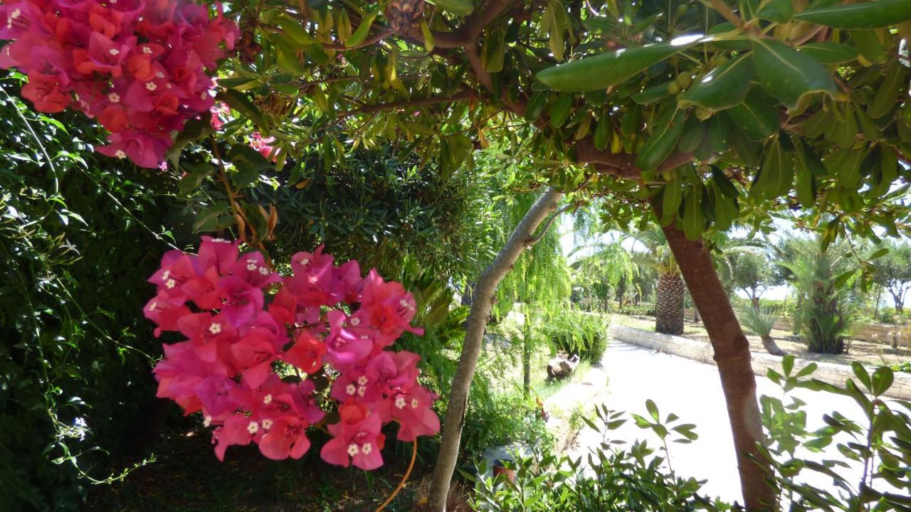 La Villa Rosa Al Mare 波扎洛 外观 照片